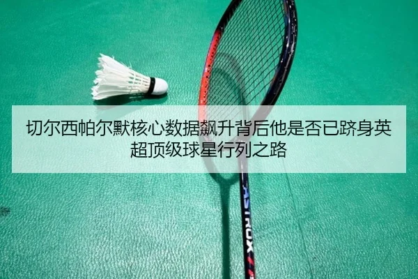 切尔西帕尔默核心数据飙升背后他是否已跻身英超顶级球星行列之路